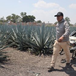 MEXICO-MICHOACAN-DRONES-AGROTECNOLOGIA