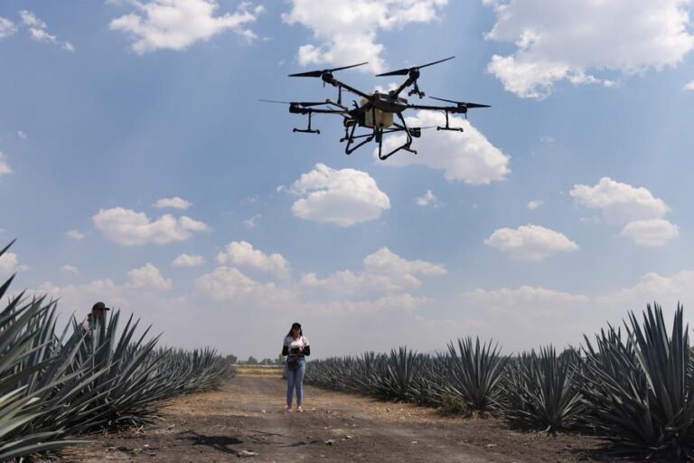 “Agrotecnología china revitalizó campos de mi familia”, asegura piloto mexicana de drones agrícolas