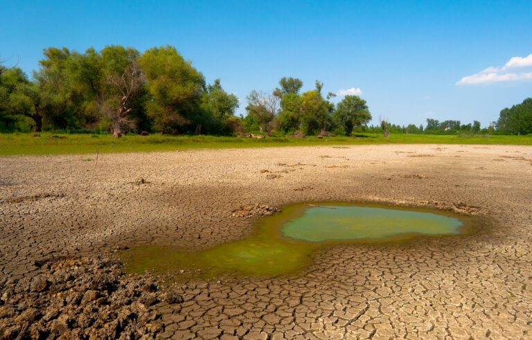 Desalentador panorama para la biodiversidad mexicana por el calentamiento global