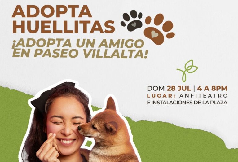 En Saltillo, realizarán “Donatón de Artículos” a beneficio de perros rescatados de las calles 