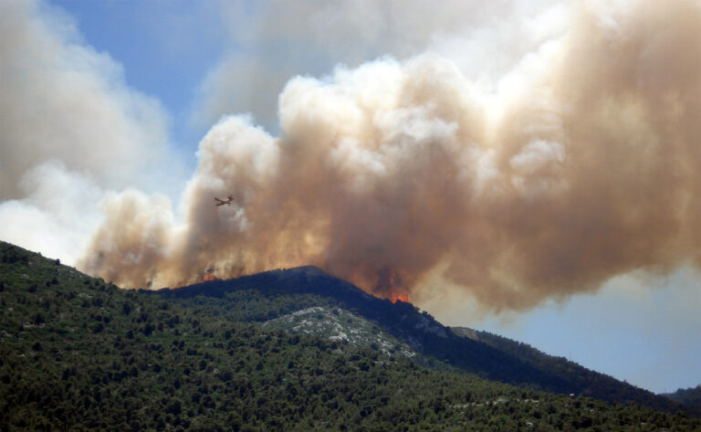 Manejo integrado del fuego, estrategia exitosa para controlar incendios forestales