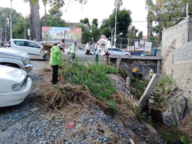 Retiran 175 toneladas de basura en los arroyos