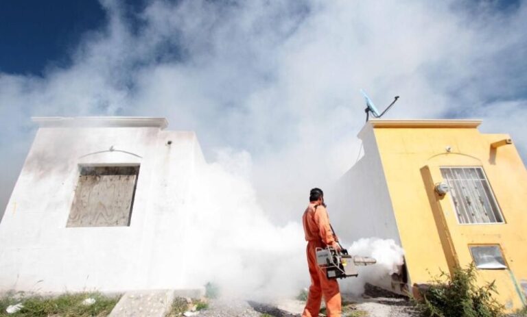 A la baja casos de dengue