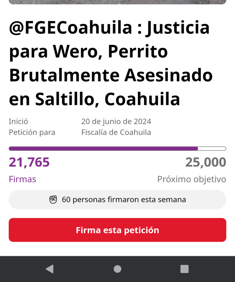 A punto de alcanzar las 25 mil firmas en change.org petición de justicia para pitbull acuchillado en Saltillo