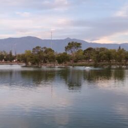 Confirma INEDEC presencia del pez diablo en lago de la ciudad deportiva1