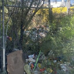 En Manantiales del Valle convierten terreno baldío en basurero clandestino; vecinos piden apoyo de autoridades 