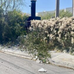 En Manantiales del Valle convierten terreno baldío en basurero clandestino; vecinos piden apoyo de autoridades 2