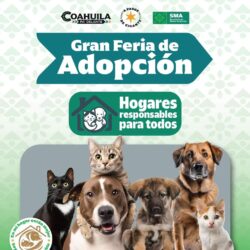 Habrá este fin de semana Gran Feria de Adopción de perros y gatos en el Gran Bosque Urbano Saltillo 