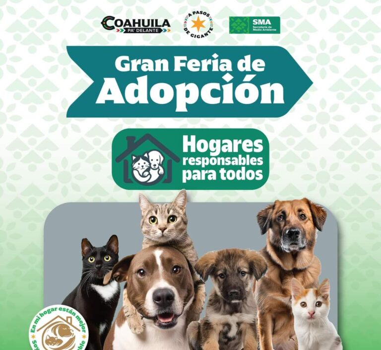 Habrá este fin de semana Gran Feria de Adopción de perros y gatos en el Gran Bosque Urbano Saltillo 