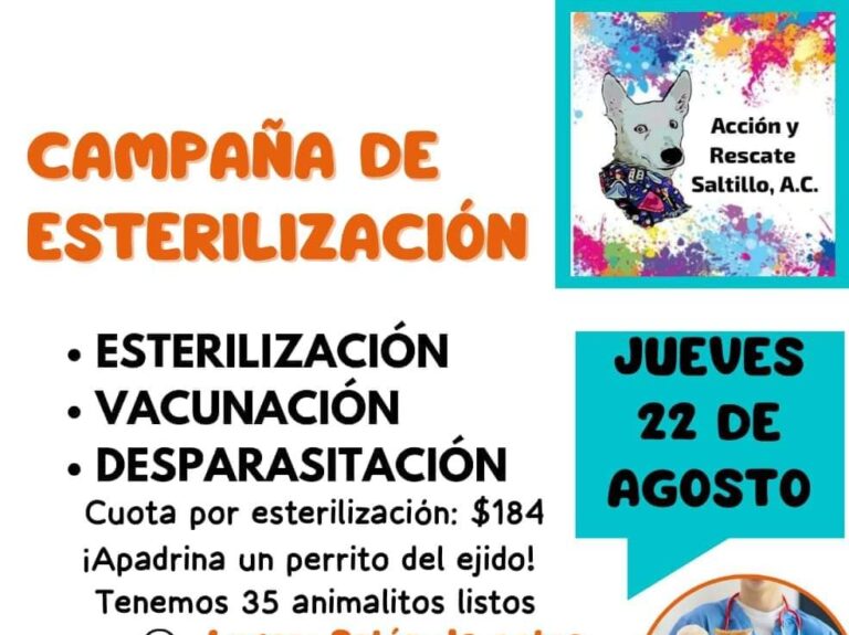 Piden apadrinar con esterilizaciones a perros en condición de abandono que habitan en el ejido La Ventura