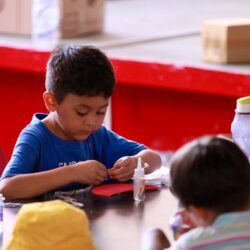 Se realizan con éxito Cursos de Verano en Biblioparques