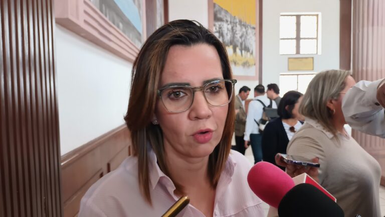 Ante inminente quiebra de AHMSA, uniremos esfuerzos para apoyar a familias de la Región Centro: Guadalupe Oyervides