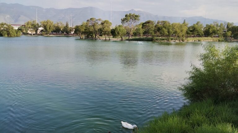 El diablo se aparece en lago de Ciudad Deportiva