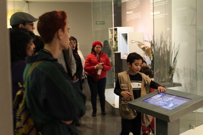 Recibirá Museo de las Aves a nuevos niños guía para el Ciclo Escolar 2024-2025