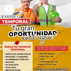 vacantes 6