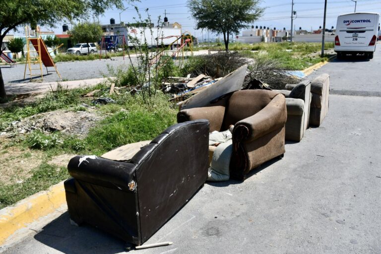 Acumulación de basura de vecino en Parajes de los Pinos aqueja a habitantes del sector 