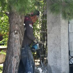 Colapsa barda de vivienda en colonia Capellanía por intensa lluvia; ayudan en trabajos de limpieza 5