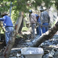 Colapsa barda de vivienda en colonia Capellanía por intensa lluvia; ayudan en trabajos de limpieza 6