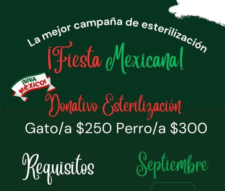 Lista campaña de esterilización de mascotas durante septiembre en Bosque Urbano de Saltillo 