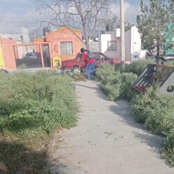 Mejoran condiciones en plaza pública de la colonia Armillita; atienden petición de vecinos 4