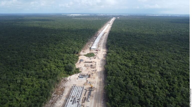 Talan por Tren Maya otras 219 hectáreas de selva