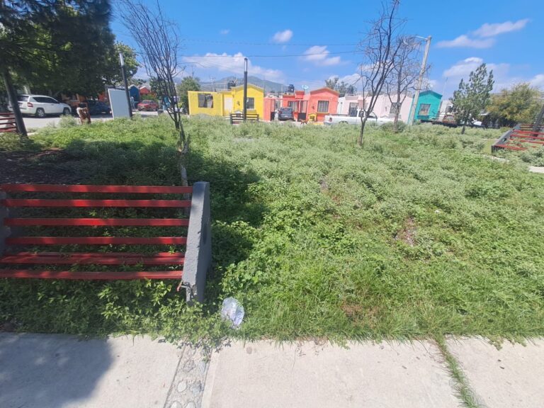 Vecinos en colonia Armillita piden apoyo para mejorar condición de plaza pública; autoridades apoyarán petición 