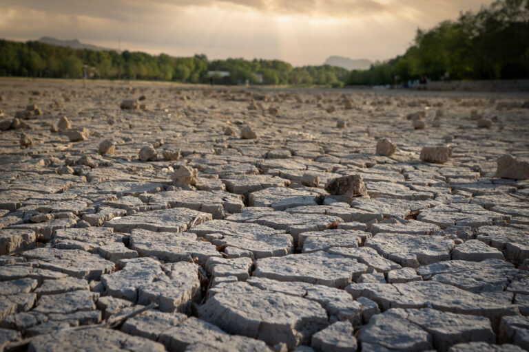 El Impacto del Cambio Climático en América Latina: Desafíos y Oportunidades