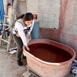 Amplían acciones contra el dengue en Coahuila5