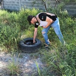 Amplían acciones contra el dengue en Coahuila7