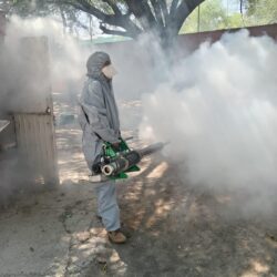 Amplían acciones contra el dengue en Coahuila8