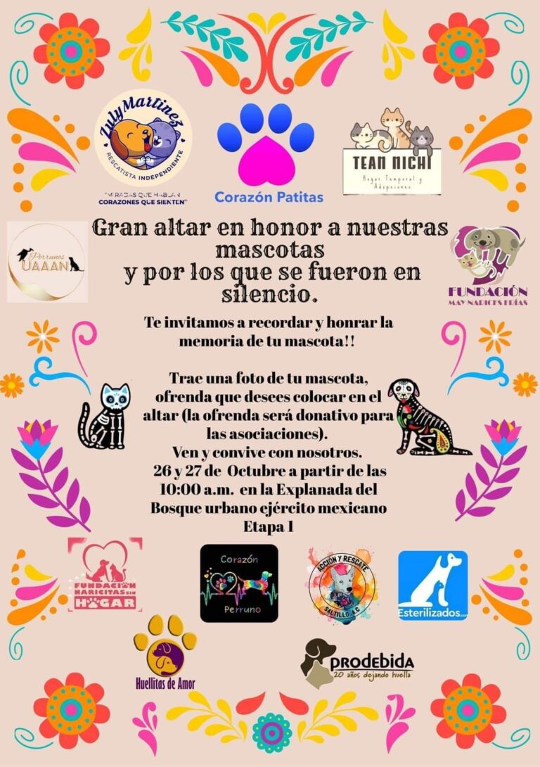 En Bosque Urbano de Saltillo, dedicarán altar de muertos a mascotas 