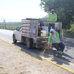 Embellece Municipio bulevares con 3ª etapa de Saltillo Me Gusta3