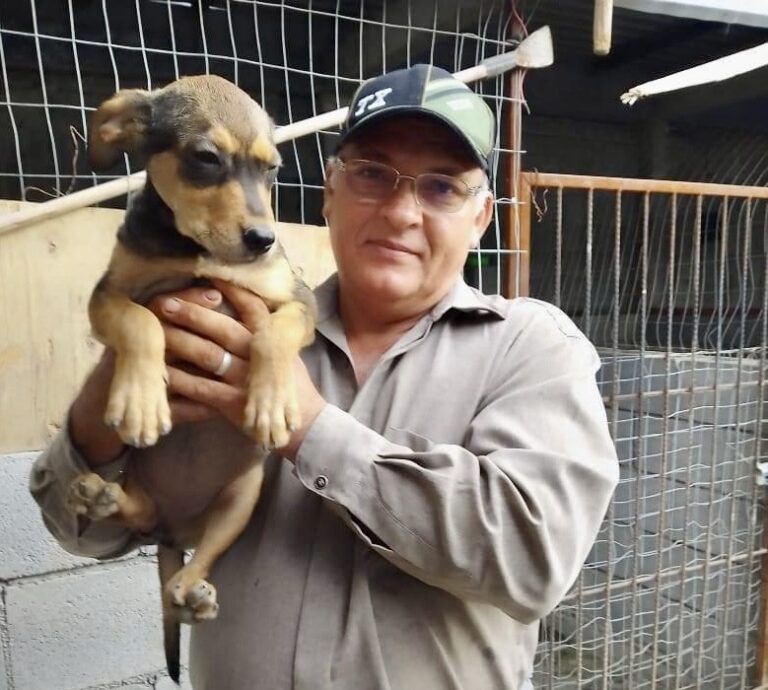 En refugio “Compita Moy” de Ramos Arizpe continúan con colecta de alimento para mascotas en abandono 