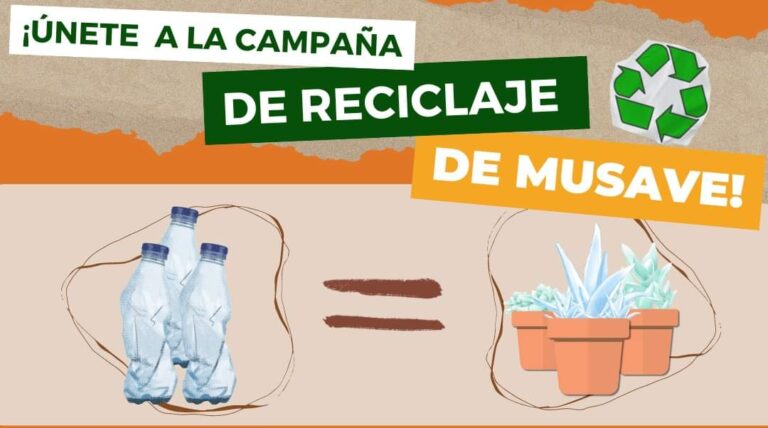 Habrá este sábado y domingo campaña de reciclaje en el MUSAVE