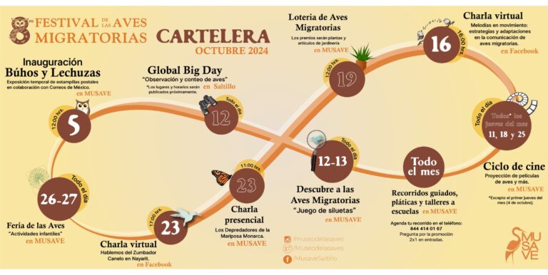 Invitan a octava edición del Festival de las Aves Migratorias en Musave
