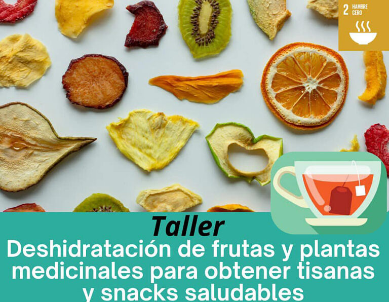 Invitan UA de C y CIJE al taller gratuito de deshidratación de frutas y plantas medicinales