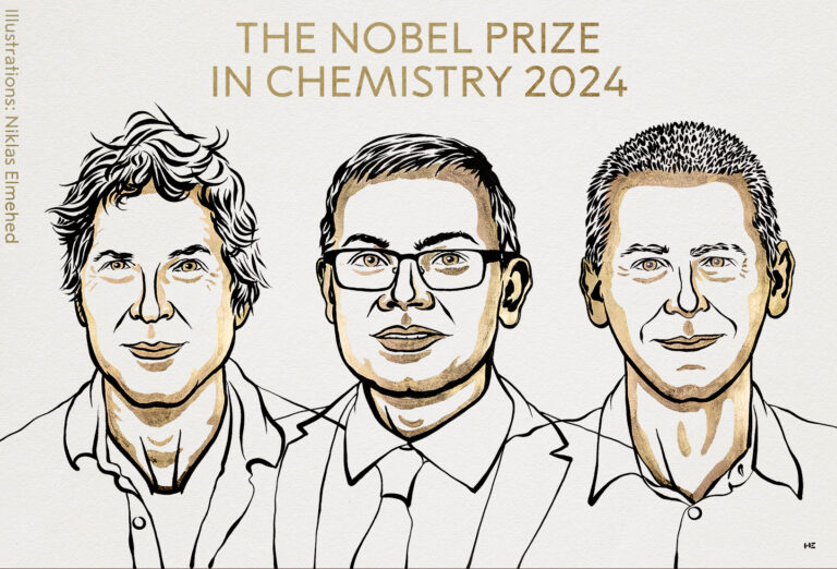 Premio Nobel de Química 2024 otorgado a tres científicos por sus trabajos sobre proteínas