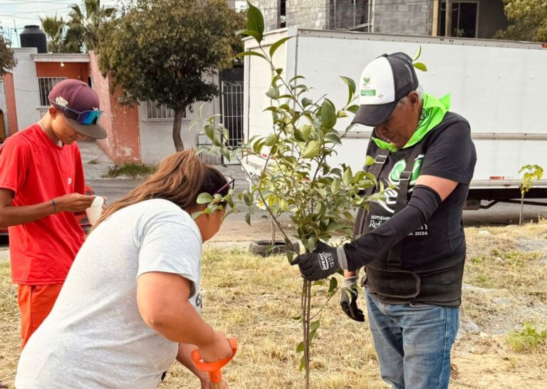 Supera Saltillo meta de reforestación en la ciudad