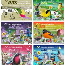Lanza Daniel Garza Tobón colección de libros sobre aves de México1