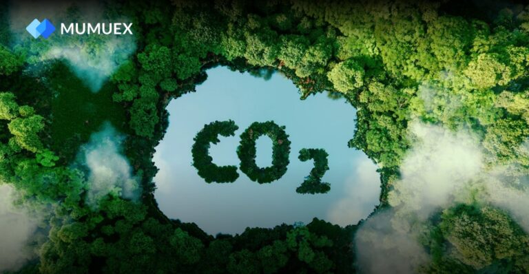 Mumuex publica su informe anual de contribución a las emisiones de carbono, cumpliendo su compromiso con el desarrollo verde