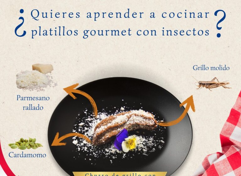  Descubre nuevo sabores culinarios en el Taller de Ciencia y Gastronomía con Insectos que ofrece la UA de C