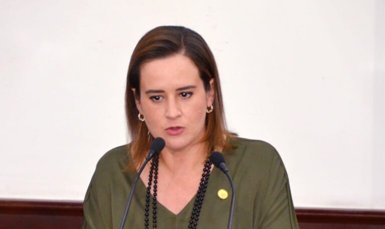 Diputada Beatriz Fraustro solicita fortalecer uso de herramientas y procesos digitales en micro, pequeñas y medianas empresas