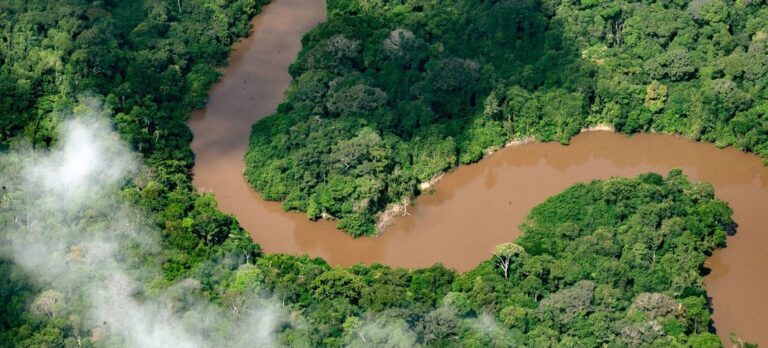 Efectos del cambio climático: La sequía en la Amazonia está dejando a 420 mil niños sin comida ni educación