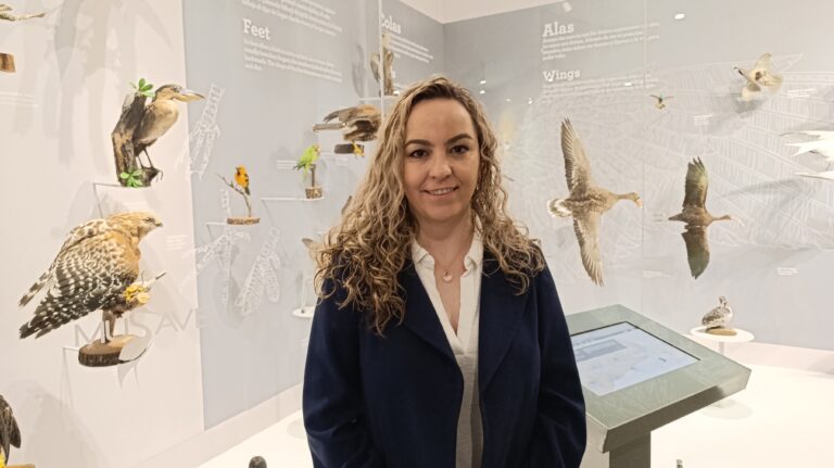 Invitan a bazar de artesanos en el Museo de las Aves de Saltillo, es este sábado