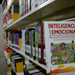 libros y bibliotecas 6