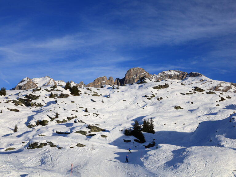 Mueren 4 montañeros tras precipitarse al vacío en los Alpes