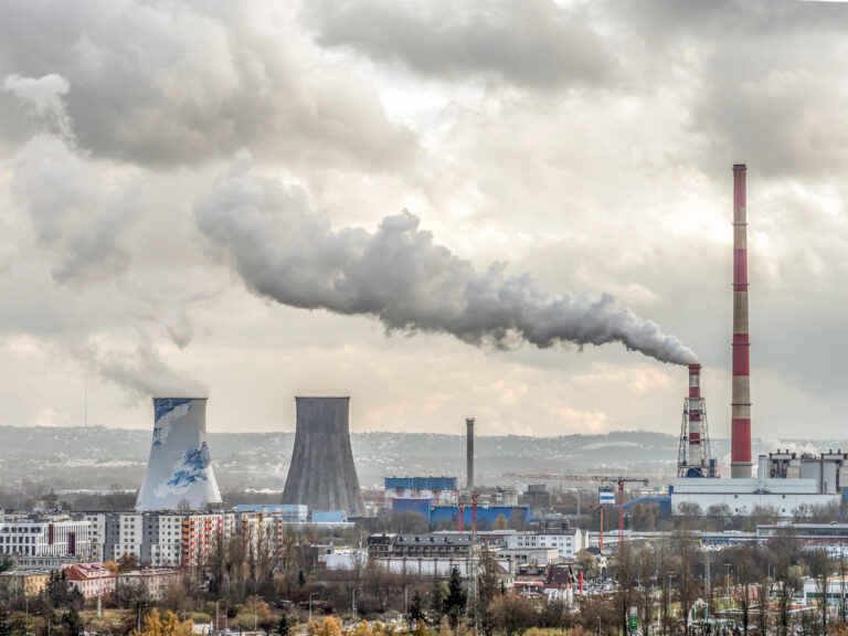 COP29: Necesitamos decisión política y recursos para retirar 4 mil millones de toneladas de CO2 de la atmósfera