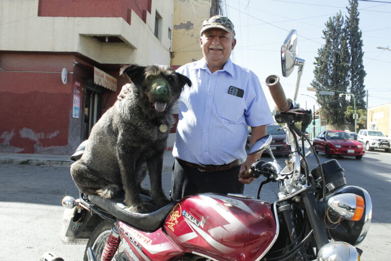 “Oso González Chopper”: un perro fuera de serie que circula en motocicleta por las calles de Saltillo