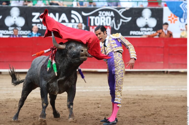 Propone Morena corridas de toros “sin sangre”