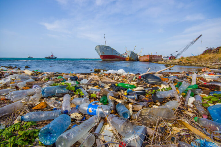 Un nuevo estudio alerta sobre el crecimiento de la isla de basura en el Pacifico